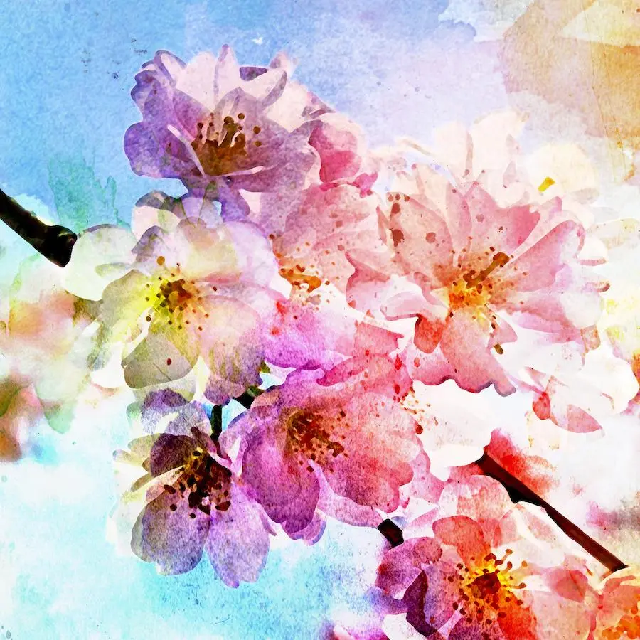 spring blossom 900x900
